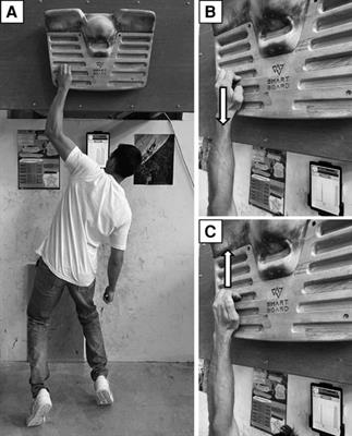 Finger flexion to extension ratio in healthy climbers: a proposal for evaluation and rebalance